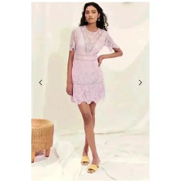 New Saylor Light Purple Lavender Darian Scallop Lace Mini Dress Size Medium - Picture 1 of 10